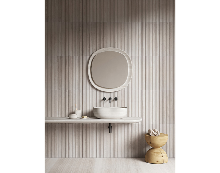 anima_mirror3